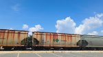 CEFX 302584